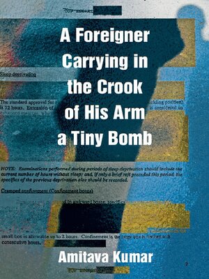 cover image of A foreigner carrying in the crook of his arm a tiny bomb